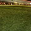 Thursday Night Grass at Coachella
