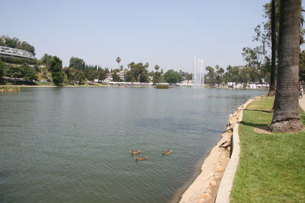 echo park and the lotus fetival