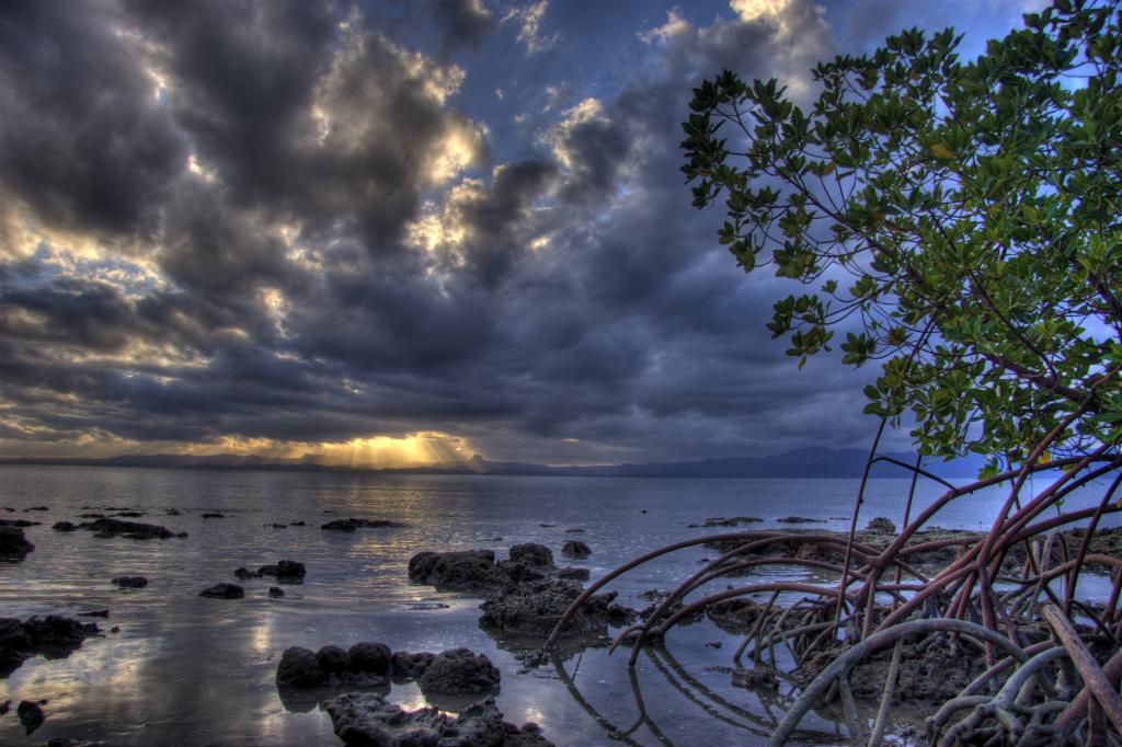 mangrove sunset hdr